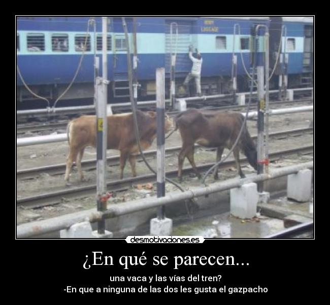 ¿En qué se parecen... -