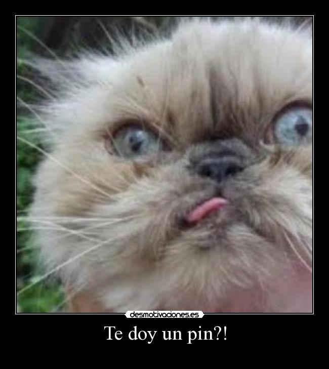 Te doy un pin?! - 