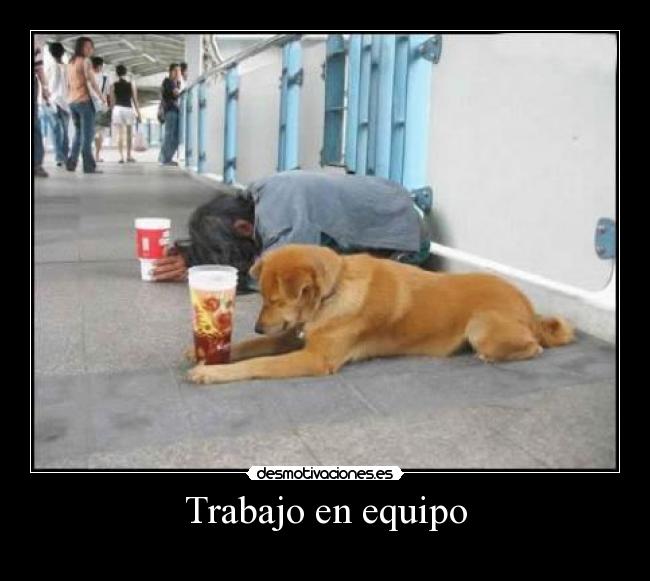 Trabajo en equipo -