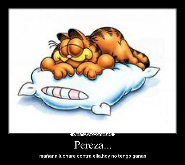 Pereza... - 
