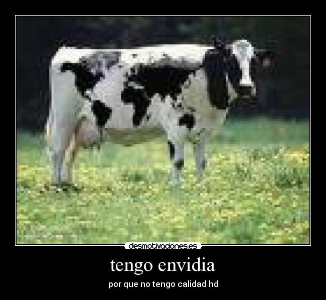 carteles tengo envidia desmotivaciones