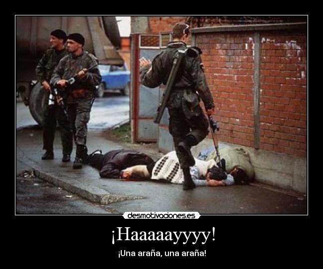 ¡Haaaaayyyy! - ¡Una araña, una araña!