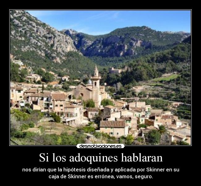 Si los adoquines hablaran - nos dirían que la hipótesis diseñada y aplicada por Skinner en su
caja de Skinner es errónea, vamos, seguro.