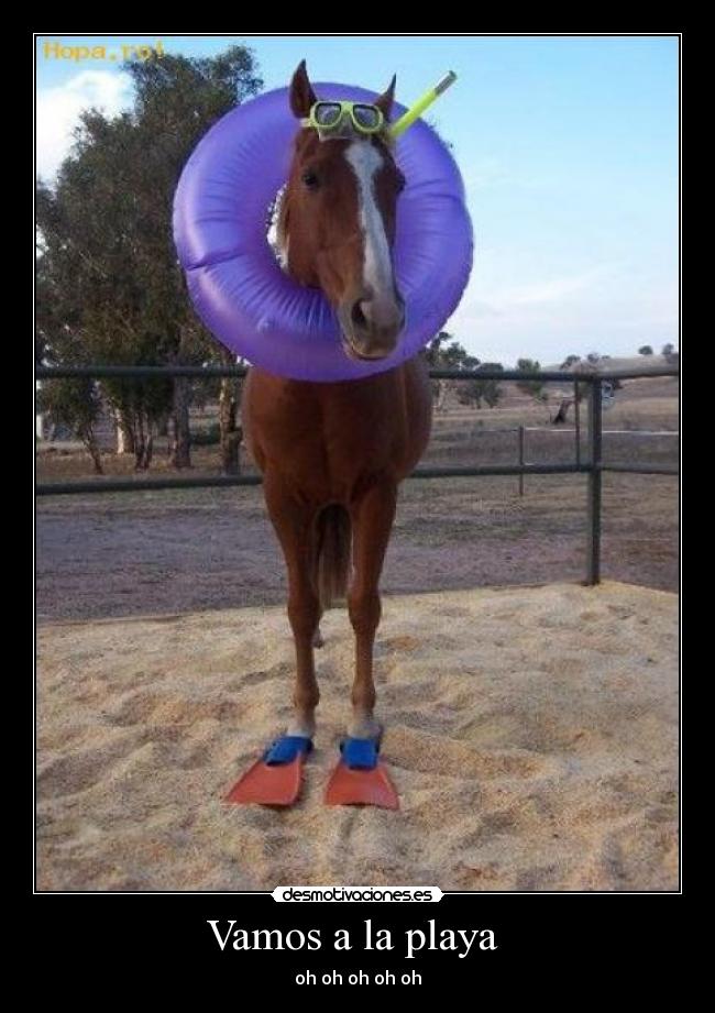 Vamos a la playa -
