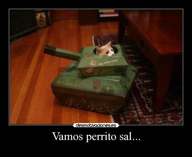 Vamos perrito sal... - 