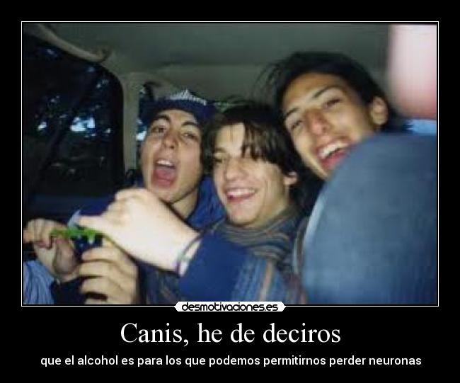 Canis, he de deciros -