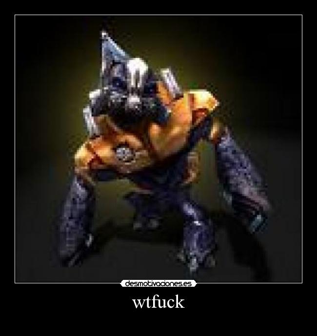 wtfuck - 