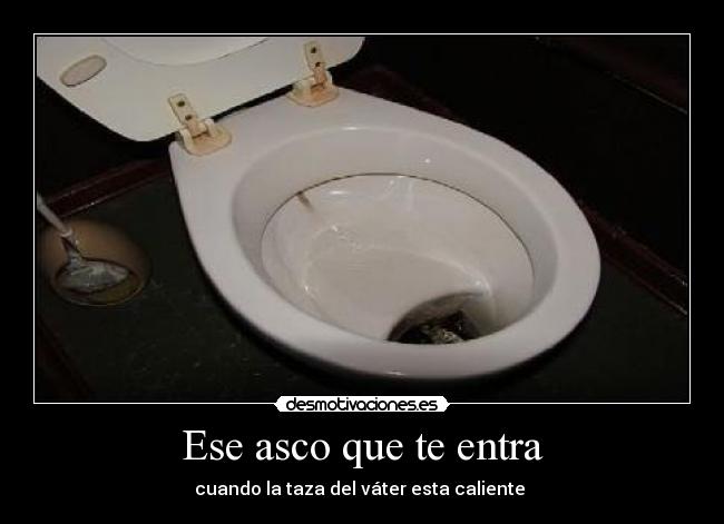 Ese asco que te entra - cuando la taza del váter esta caliente 