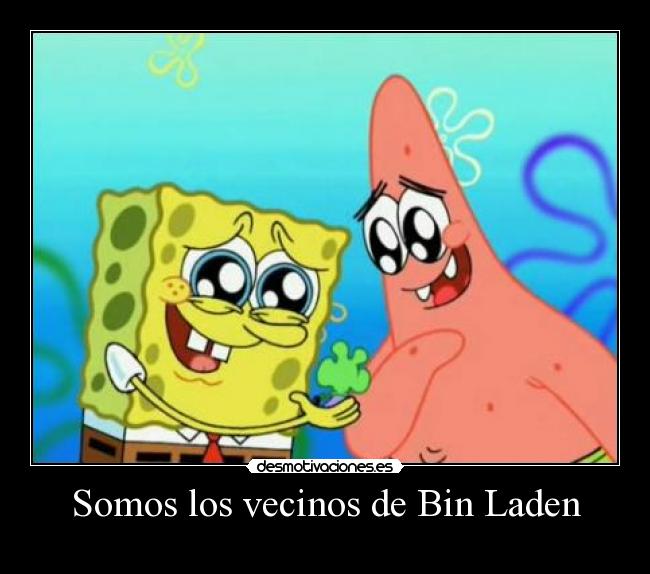 Somos los vecinos de Bin Laden -