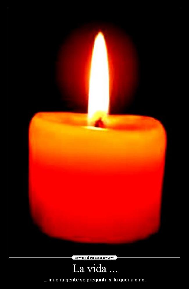 carteles vida gara998 desmotivaciones