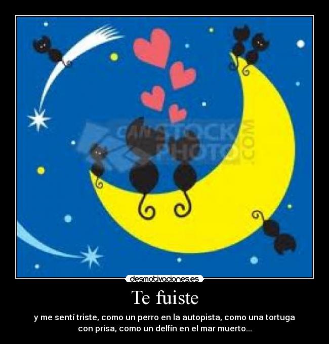 Te fuiste - y me sentí triste, como un perro en la autopista, como una tortuga
con prisa, como un delfín en el mar muerto...