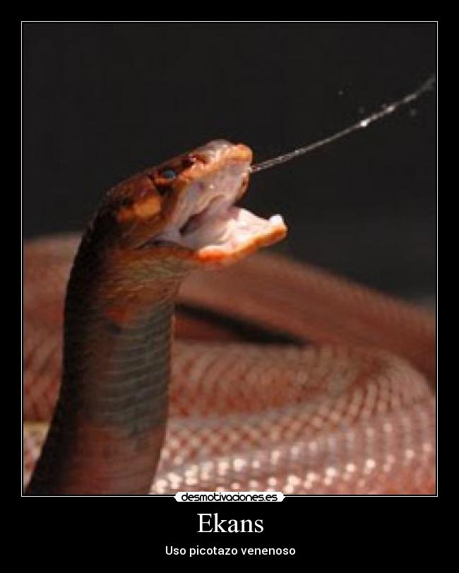 Ekans -