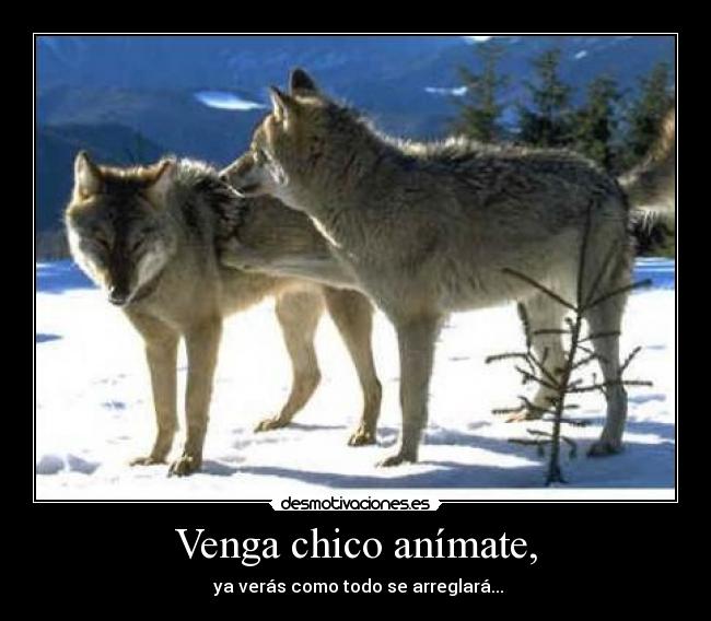 Venga chico anímate, -  ya verás como todo se arreglará...