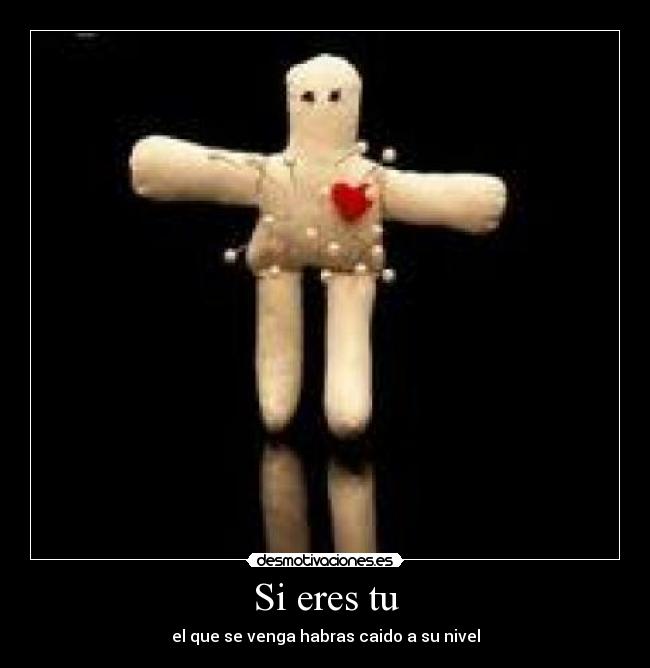 carteles venganza desmotivaciones