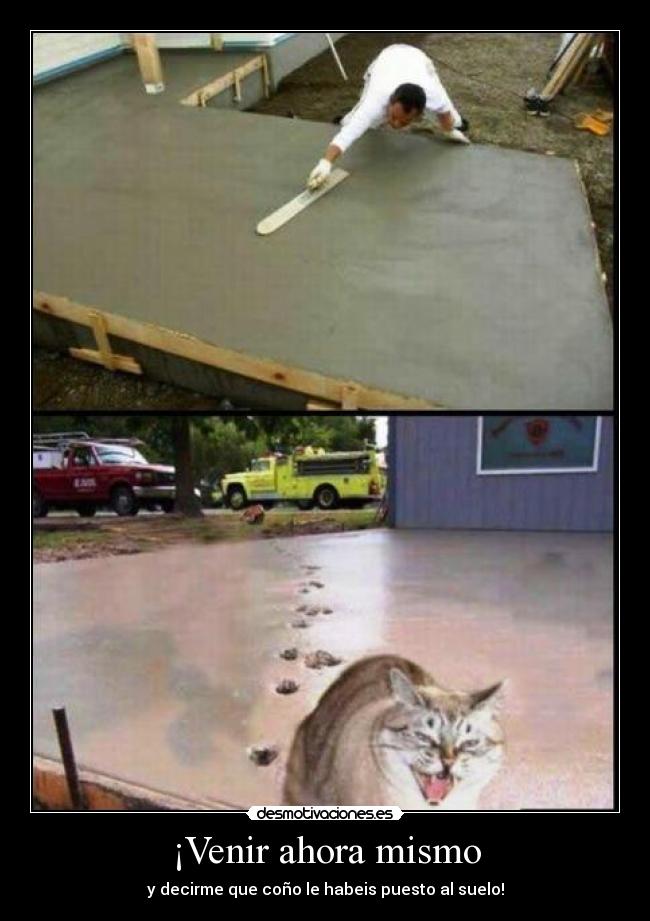 ¡Venir ahora mismo -