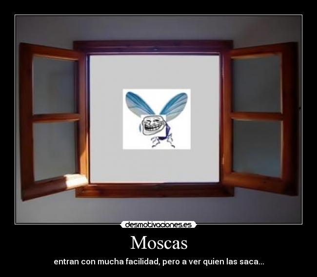 Moscas - entran con mucha facilidad, pero a ver quien las saca...
