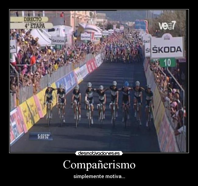 Compañerismo -