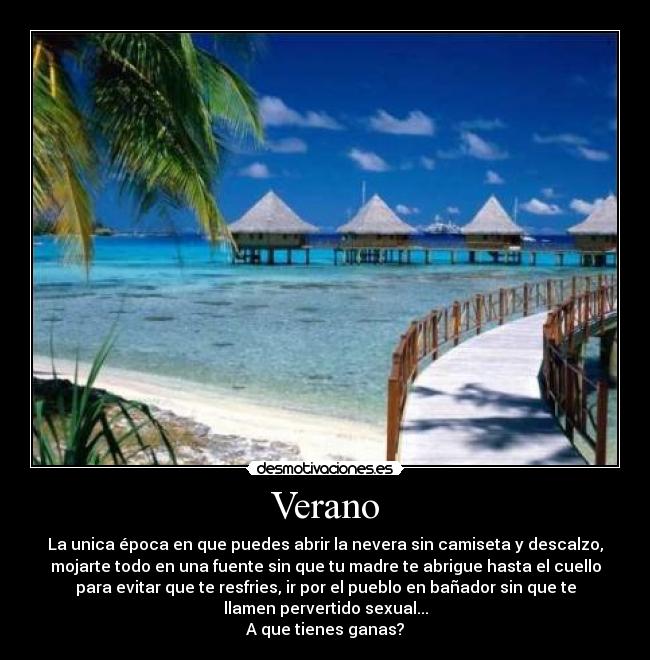 Verano - La unica época en que puedes abrir la nevera sin camiseta y descalzo,
mojarte todo en una fuente sin que tu madre te abrigue hasta el cuello
para evitar que te resfries, ir por el pueblo en bañador sin que te
llamen pervertido sexual...
A que tienes ganas?