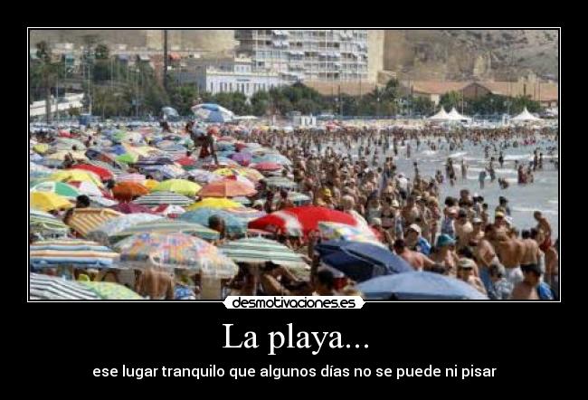 carteles blasphemy salinero14 sweathell cell neto9074 zknoow xbosito salem phphtmlero waltt_k fap desmotivaciones