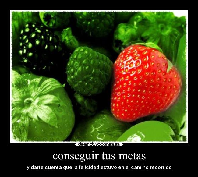 conseguir tus metas - 