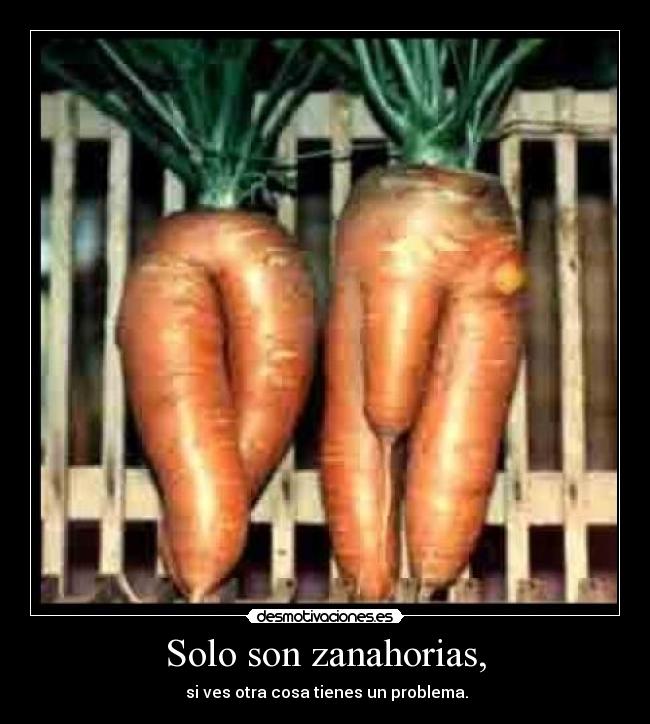 Solo son zanahorias, - si ves otra cosa tienes un problema.