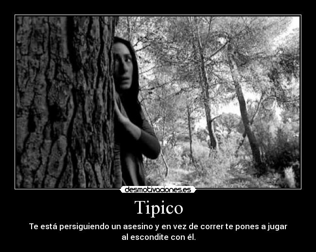 Tipico - 