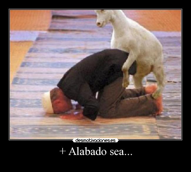 + Alabado sea... -