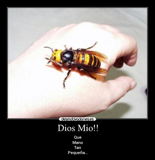 Dios Mio!! - Que
Mano
Tan
Pequeña...