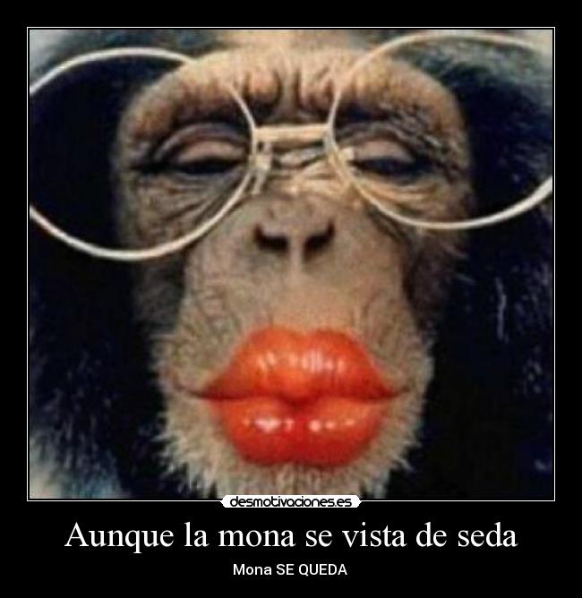 Aunque la mona se vista de seda - Mona SE QUEDA