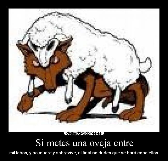 Si metes una oveja entre - mil lobos, y no muere y sobrevive, al final no dudes que se hará cono ellos.