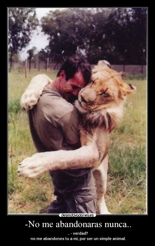 -No me abandonaras nunca.. - .. - verdad?
·no me abandones tu a mi, por ser un simple animal.