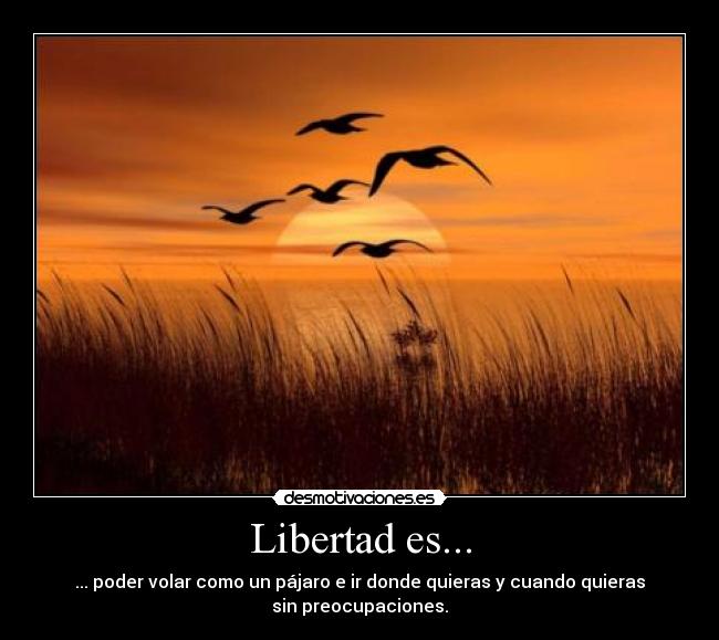 Libertad es... - ... poder volar como un pájaro e ir donde quieras y cuando quieras
sin preocupaciones.