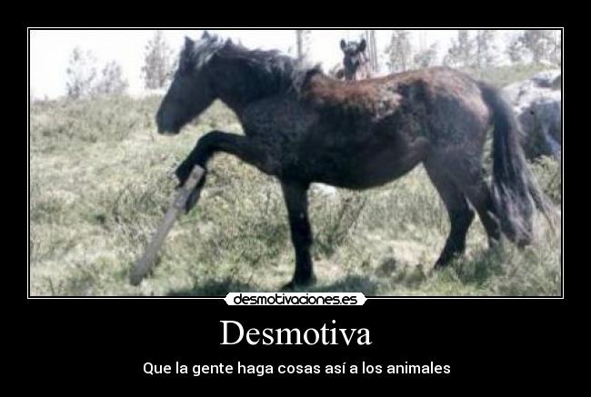 Desmotiva - Que la gente haga cosas así a los animales
