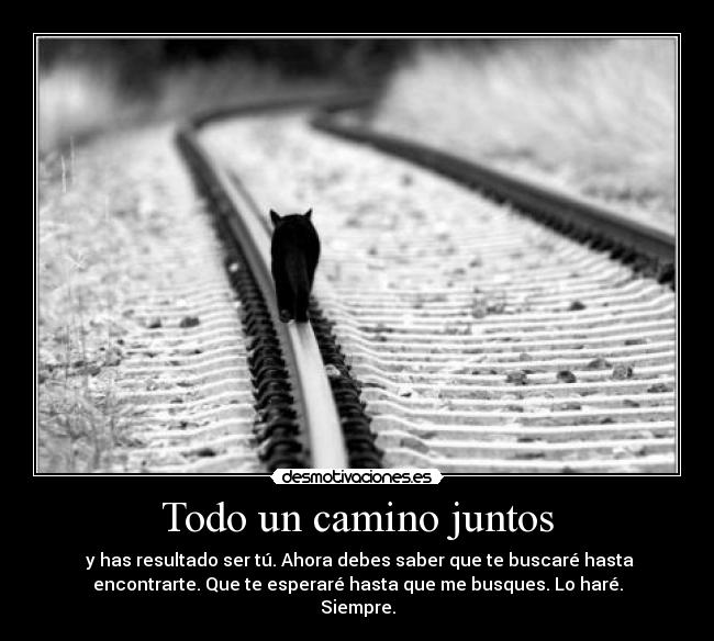 Todo un camino juntos - 