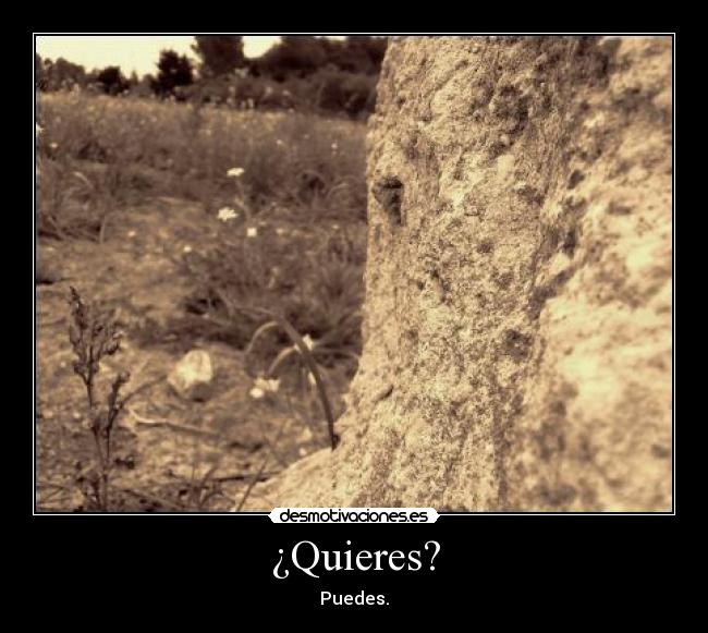 ¿Quieres? - Puedes.