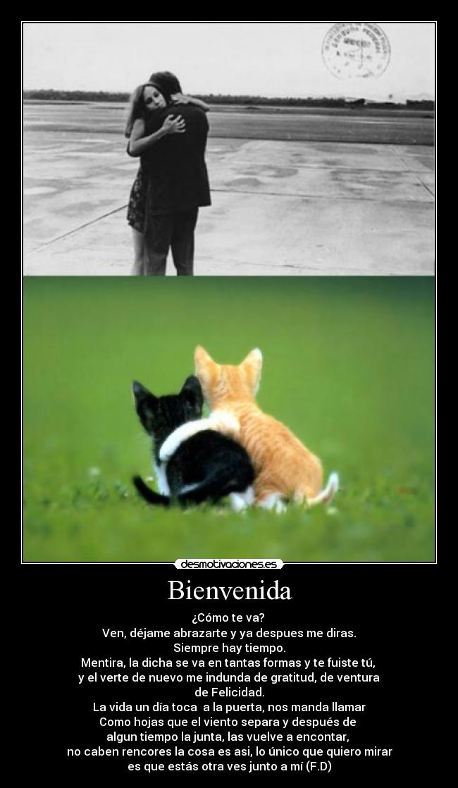 Bienvenida - ¿Cómo te va?
Ven, déjame abrazarte y ya despues me diras.
Siempre hay tiempo.
Mentira, la dicha se va en tantas formas y te fuiste tú,
y el verte de nuevo me indunda de gratitud, de ventura
de Felicidad.
La vida un día toca a la puerta, nos manda llamar
Como hojas que el viento separa y después de
algun tiempo la junta, las vuelve a encontar,
no caben rencores la cosa es asi, lo único que quiero mirar
es que estás otra ves junto a mí (F.D)