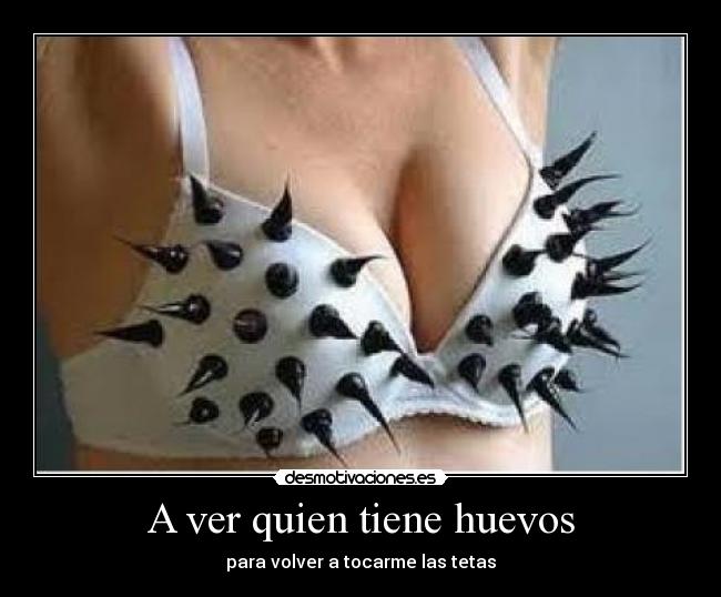 carteles tetashuevostocarsujetadorpinchos desmotivaciones