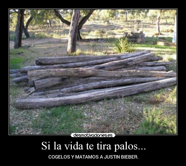 Si la vida te tira palos... -