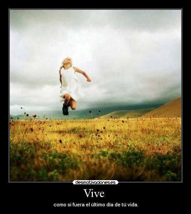 Vive  - 