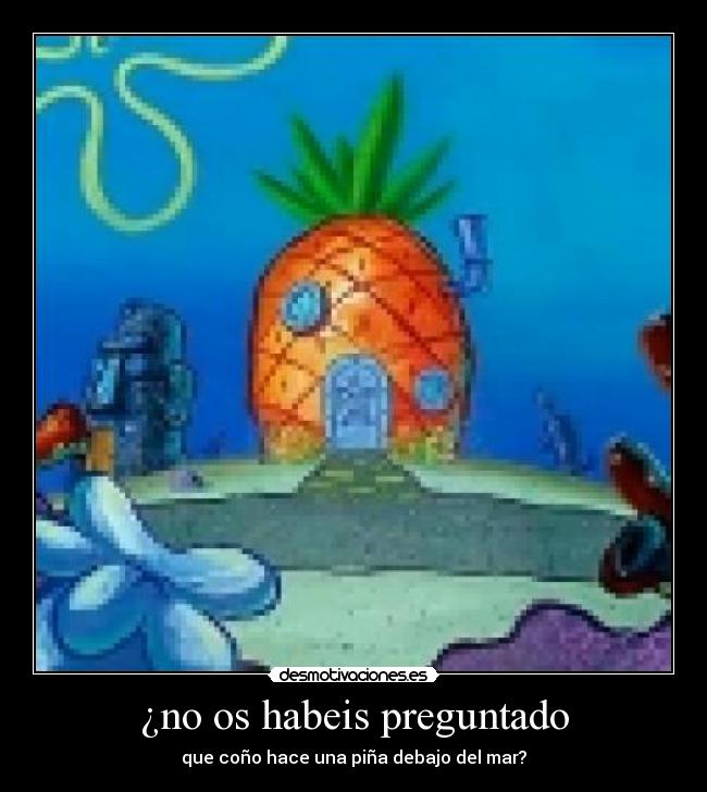¿no os habeis preguntado - que coño hace una piña debajo del mar?
