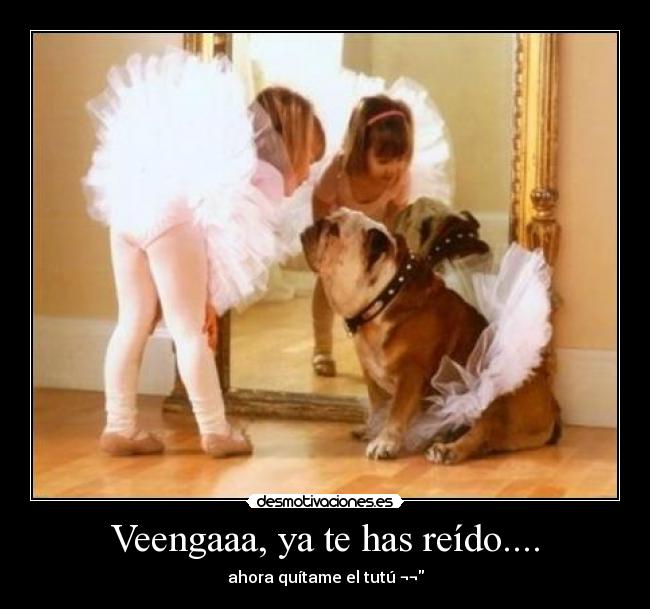 Veengaaa, ya te has reído.... - 