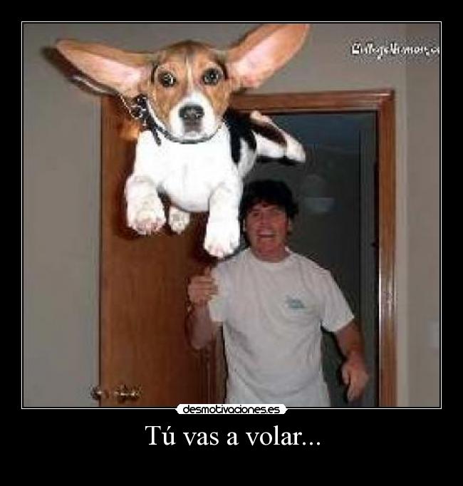 Tú vas a volar... - 