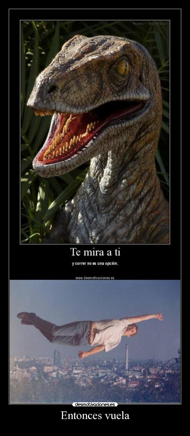 Entonces vuela - 