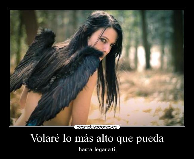 Volaré lo más alto que pueda - hasta llegar a ti.