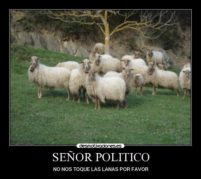 carteles humor desmotivaciones