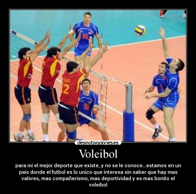 Voleibol -