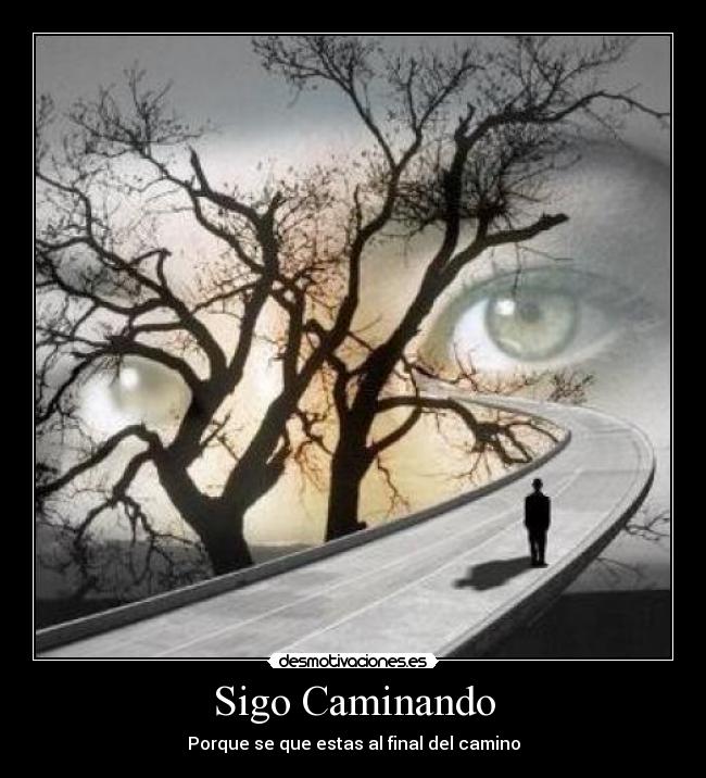 Sigo Caminando -