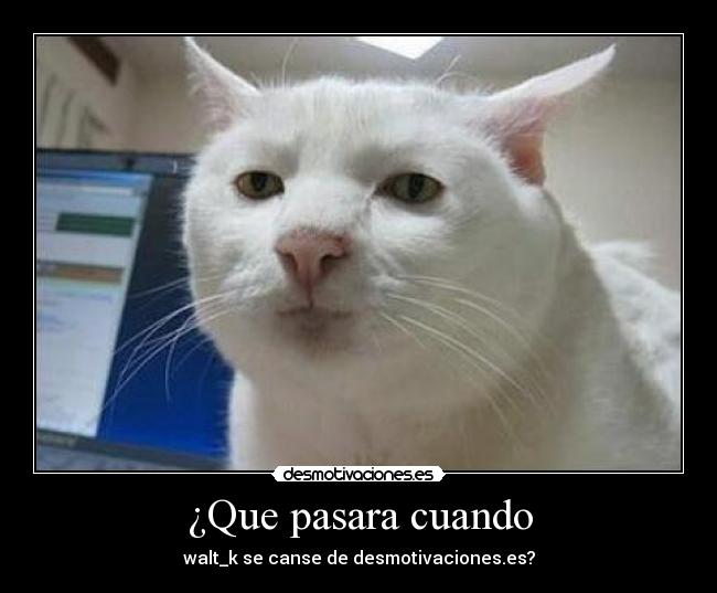 ¿Que pasara cuando - walt_k se canse de desmotivaciones.es?