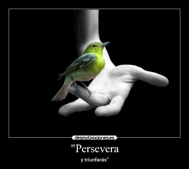 Persevera - y triunfarás