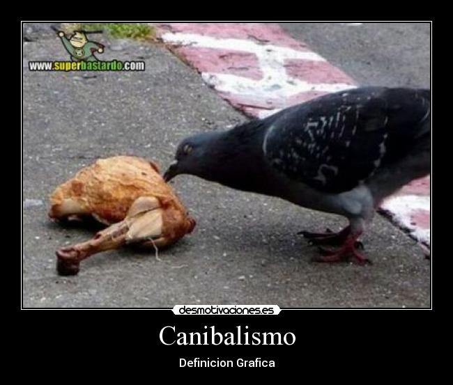 Canibalismo - 